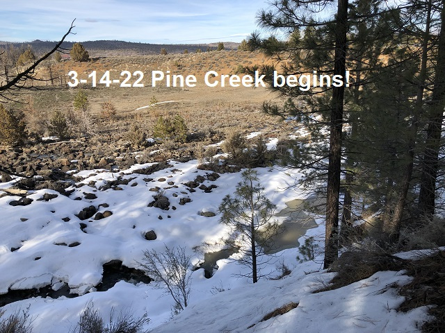 3-14-22-Pine-Creek-begins