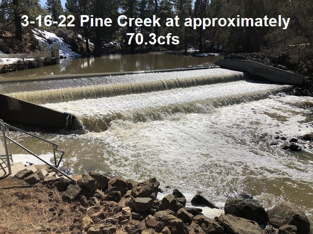 3-16-22-Pine-Creek-at-about-70.3cfs