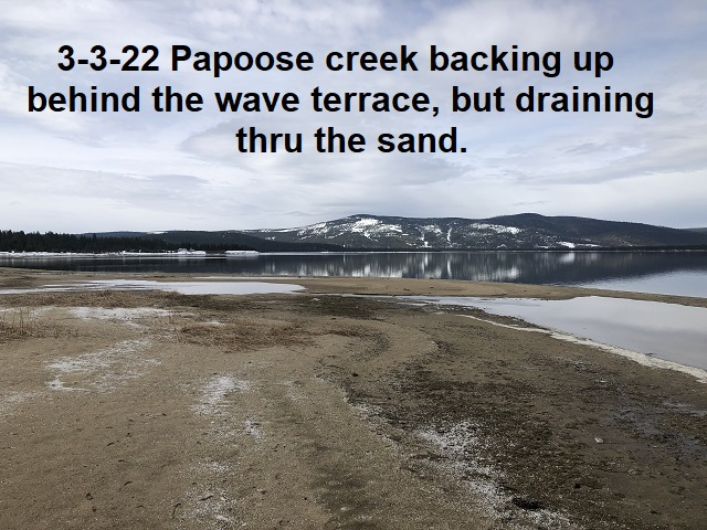 3-3-22-Papoose-backing-up-behind-the-wave-terrace