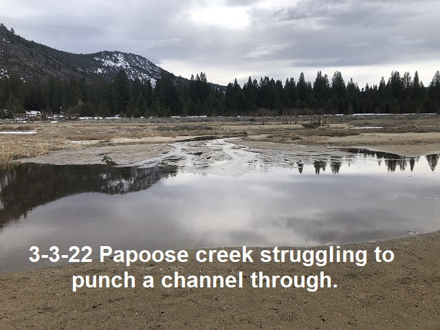 3-3-22-Papoose-creek-struggling-but-dribbling