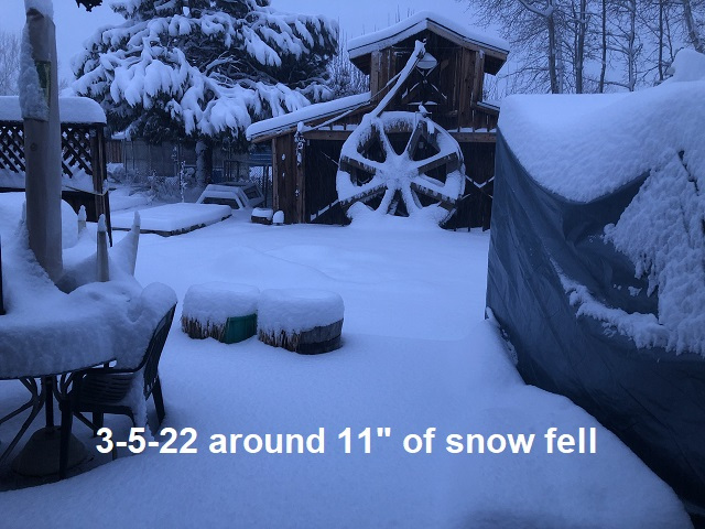 3-5-22-around-11inches-of-snow-fell