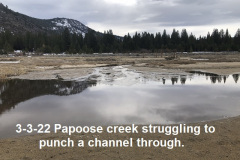 3-3-22-Papoose-creek-struggling-but-dribbling