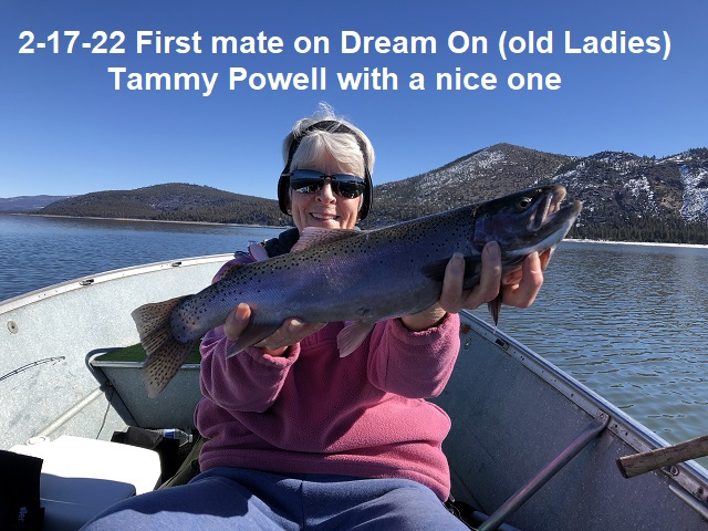 2-17-22-Tammy-Powell