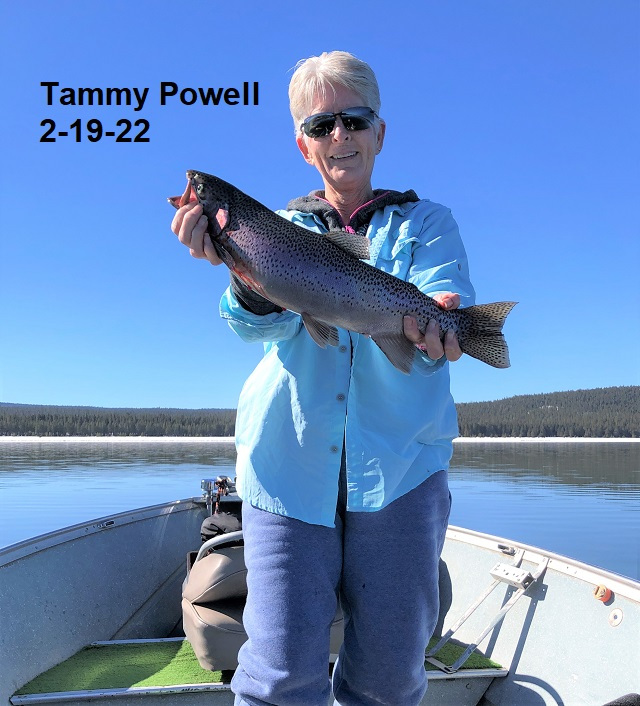 2-19-22-Tammy-Powell
