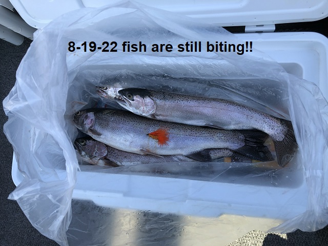8-19-22-fish-are-still-biting