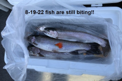 8-19-22-fish-are-still-biting