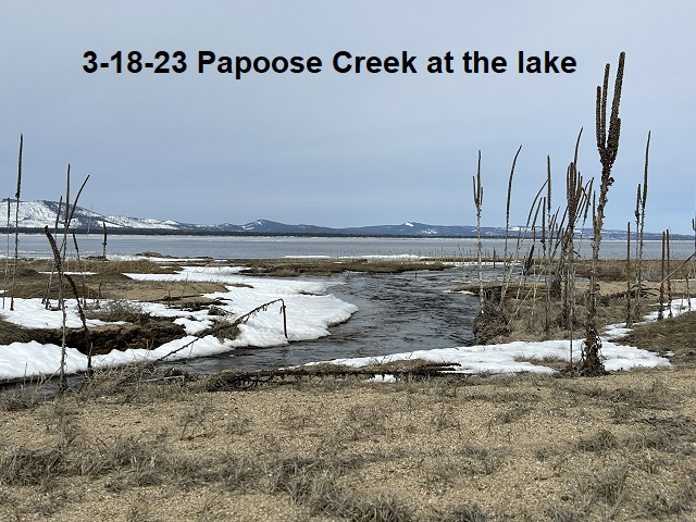 3-18-23-Papoose-Creek-^