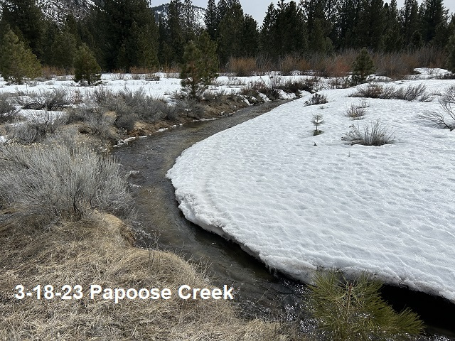 3-18-23-Papoose-Creek