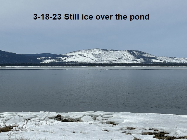 3-18-23-Still-ice-over-the-pond