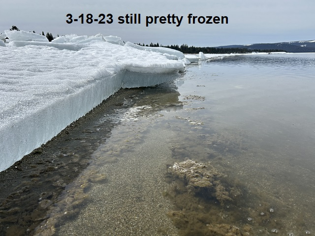 3-18-23-still-pretty-frozen