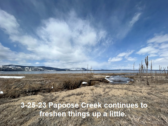 3-25-23-Papoose-Creek-continues-to-flow