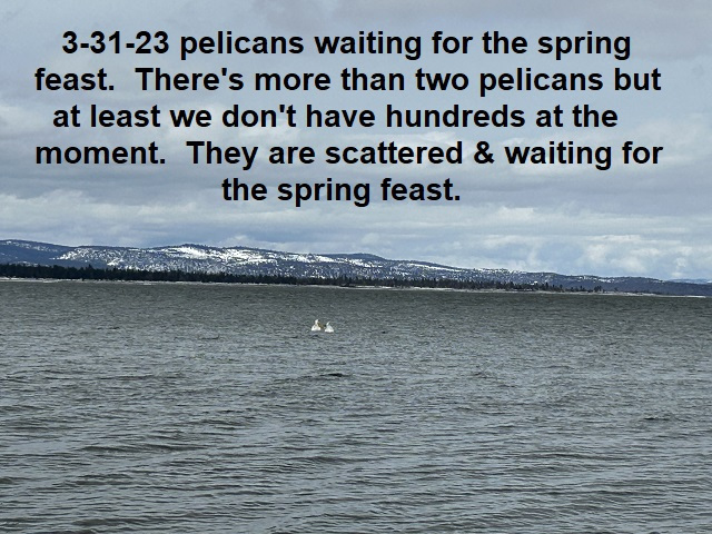 3-31-23-waiting-for-spring