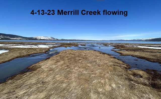 4-13-23-Merrill-Creek-flowing