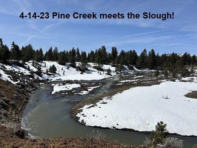 4-14-23-Pine-Creek-meets-the-Slough