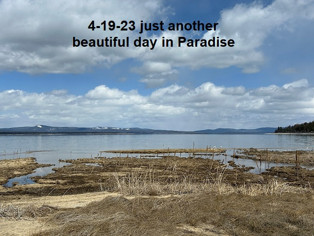 4-19-23-Paradise