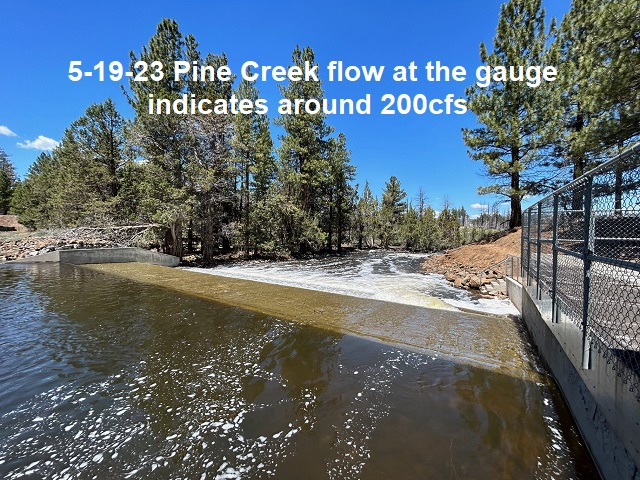 5-19-23-Pine-Creek-flow-around-200cfs