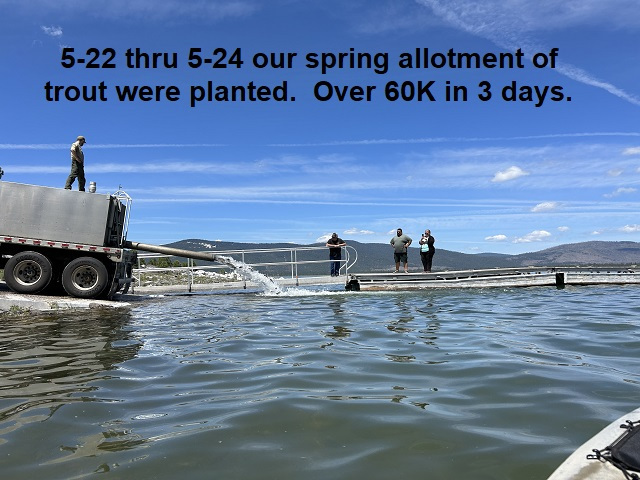 5-23-23-trout-planting