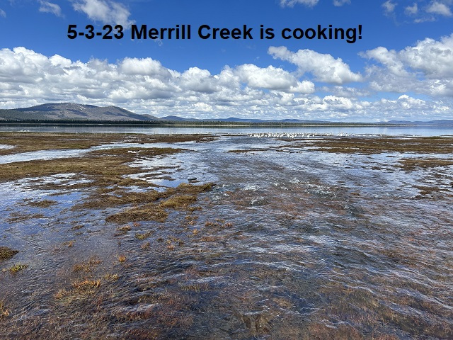 5-3-23-Merrill-Creek-is-cooking