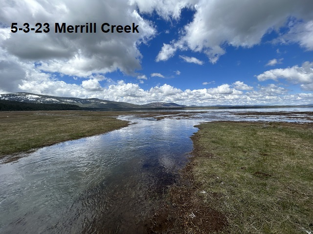 5-3-23-Merrill-Creek