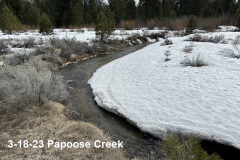 3-18-23-Papoose-Creek