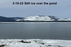 3-18-23-Still-ice-over-the-pond