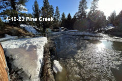 4-10-23-Pine-Creek^