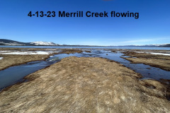 4-13-23-Merrill-Creek-flowing