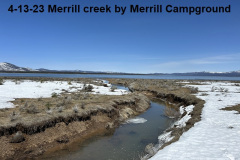 4-13-23-Merrill-Creek
