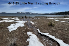 4-16-23-little-merrill-creek-cutting-through