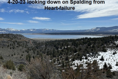 4-20-23-looking-down-on-Spalding