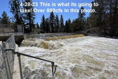 4-28-23-Pine-Creek-flowing-over-800cfs-^