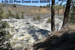 4-28-23-Pine-Creek-flowing-over-800cfs