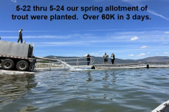 5-23-23-trout-planting