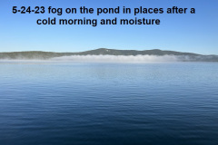 5-24-23-early-pond-fog