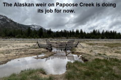 5-3-23-the-Alaskan-Weir-is-doing-its-job-for-now