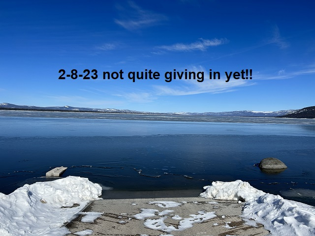 2-8-23-not-quite-willing-to-give-in-just-yet